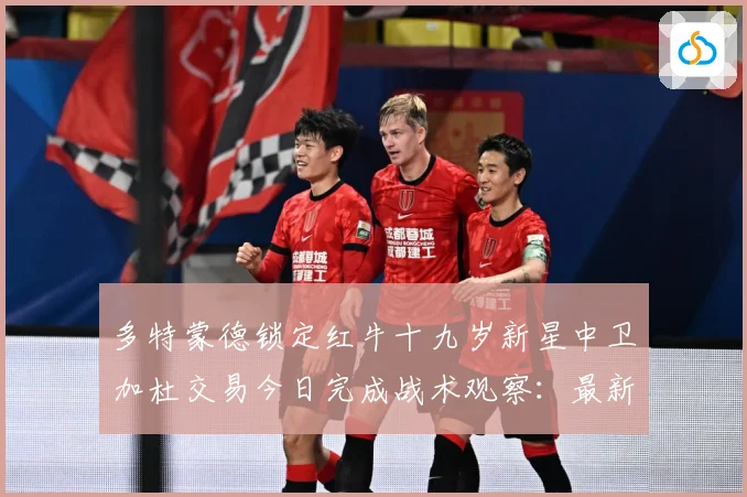 多特蒙德锁定红牛十九岁新星中卫加杜交易今日完成战术观察：最新赛事动态与深度分析